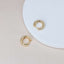 Small Gold Hoop Earrings