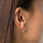 Gold Hoop Earrings