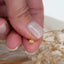 Stainless steel dragonfly labret flat back stud piercing push in. Gold color.