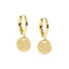 Shiny Disk Hoops Earrings