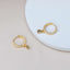 Crystal Dangle Hoop Earrings in Gold