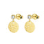 Celestial Chic: CZ Stud Moon Gold Disc Earrings